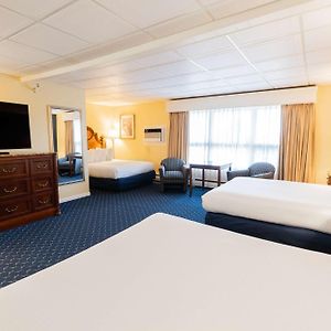 Family Suite Three Queen Beds Pet Friendly or Non-Smoking